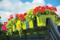 a34c8cd77eb69600616b9cb607dd1956.jpg