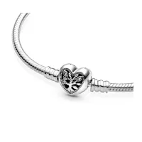 pandora-mod-598827c01-16-ww598827c01-16-ww598827c01-16.jpg