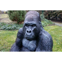 gorillakind2.webp