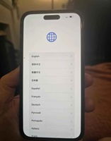 604558181_2116286559108889_6515728030720264744_n.jpg