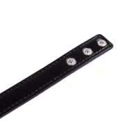 collar-with-hoop-adjustable-382-cm-black-843658379378-cl843658379378.jpg