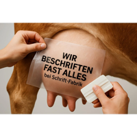 fun33.webp