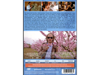 Screenshot_2025-11-01_17.28.46.webp