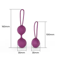kelly-kegel-balls-silicone-purple-er69004-cler69004.jpg