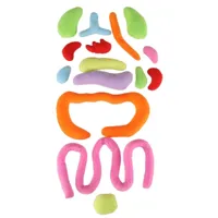 Lalka-maskotka-nauka-anatomii-dziewczynka__1283250__1200.jpg
