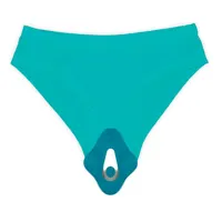 ferty-panty-stimulator-with-remote-control-usb-lt-181-cllt-181.jpg