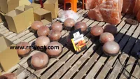 RMY Himalayan Dome Salt Lamp,Himalayan Salt Foot Detox Largest Exporter - image 3
