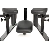 pleasure-throne-oral-sex-chair-848518054647-cl848518054647.jpg