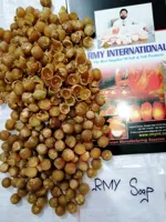 Soap Nuts a Natural Washing Detergent Eco Friendly Soapnut Shells 100% Natural Soap-Nuts Shells L... - image 3