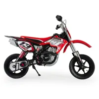 INJUSA-Motor-Cross-Czerwony-24V__1296817__1200.jpg