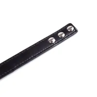 collar-with-hoop-adjustable-382-cm-black-843658379378-cl843658379378.jpg