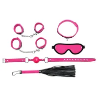 complete-restraint-set-6-pink-r7023-clr7023.jpg