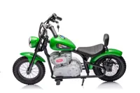 Motor-Na-Akumulator-A9902-36V-Zielony__1105939__1200.jpg