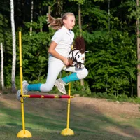 Hobby-Horse-Skippi-kon-na-kiju-Gniado-srokaty-A5__1125918__1200.jpg