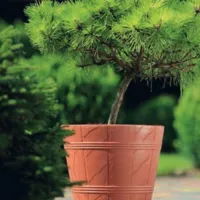1feb84ad3c4932c76b015083889b6c71.jpg
