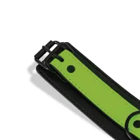 glow-in-the-dark-collar-with-leash-sl-153-clsl-153.jpg
