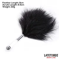 feather-tickler-with-acrylic-metal-handle-8436615001316.jpg