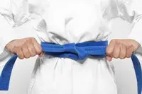 RMY Taekwondo Blue Belts,RMY Great Quality Taekwondo Belts. - image 2