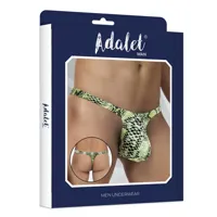 maver-thong-snake-green-am-366.jpg
