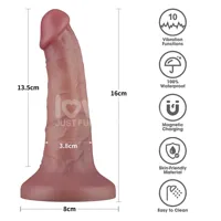 dual-density-dildo-with-vibration-6-lo-lv110201-cllo-lv110201.jpg