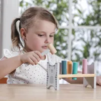 VIGA-PolarB-Drewniana-Laweczka-Przebijanka-Wbijanka-z-Mlotkiem-Montessori__1271106__1200.jpg