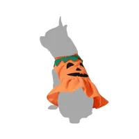 dog-costume-pumpkin-size-m-s1135717-bbs1135717.jpg