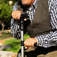extendable-walking-stick-with-led-alarm-and-grabber-hannde-innovagoods-v0103837-bbv0103837.jpg