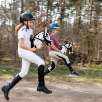 Hobby-Horse-Skippi-kon-na-kiju-Gniado-srokaty__1073539__1200.jpg