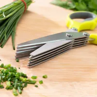 multi-blade-5-in-1-scissors-fivessor-innovagoods-v0101056-bbv0101056.jpg