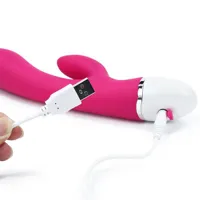 vibe-dreamer-usb-rose-red-lo-lv2710p-cllo-lv2710p.jpg