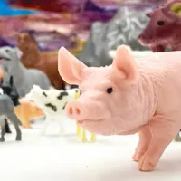 WOOPIE-Zestaw-Figurki-Zwierzeta-Farma-34-szt__1262923__1200.jpg
