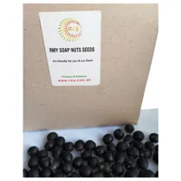 RMY 250gram Soap Nuts Seeds in brown bux board ,RMY Soap Nuts Seeds Uses in Pakistan - image 2