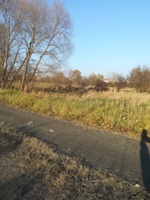IMG_20241116_132958.jpg