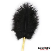 feather-tickler-41-cm-8436615001255-cl8436615001255.jpg