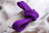 RMY Karate Purple Belts,RMY Karate Belts - image 3