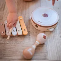 VIGA-PolarB-Zestaw-Instrumentow-Muzycznych-Z-Jezykiem__1258296__1200.jpg