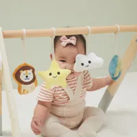 VIGA-PolarB-Palak-Stojak-dla-Niemowlat-Baby-Gym__1273382__1200.jpg