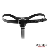 adjustable-strap-on-with-semi-realistic-dildo-8436615001538-cl8436615001538.jpg