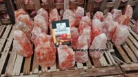 RMY Himalayan Orange Salt Lamps 30-35kg,RMY Best Quality Himalayan Salt Lamps, Natural Himalayan ... - image 3