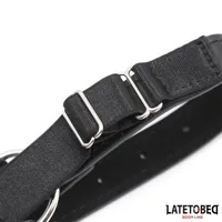 head-harness-with-ball-gag-and-nose-hook-8436615007820-cl8436615007820.jpg
