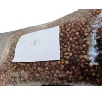 RMY Soap Nuts 500g,RMY 500g Wash Nuts in Pp Packaging,How to Store Soap Nuts ,How Effective are S... - image 2