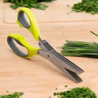 multi-blade-5-in-1-scissors-fivessor-innovagoods-v0101056-bbv0101056.jpg