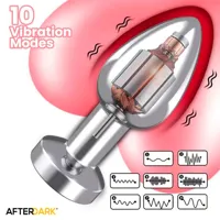 dimpor-chrome-anal-plug-with-vibration-and-magnetic-usb-size-l-ad-549-clad-549.jpg