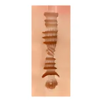male-masturbator-vagina-marina-skin-sq-ma60097-clsq-ma60097.jpg
