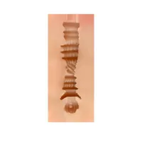male-masturbator-vagina-regina-skin-sq-ma60099-clsq-ma60099.jpg