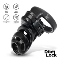 detention-chastity-cage-with-accessory-for-prince-albert-dl-095-cldl-095.jpg