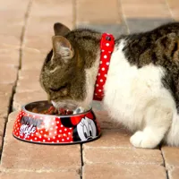 dog-feeder-minnie-mouse-red-melamin-180-ml-black-metal-s0734827-bbs0734827.jpg