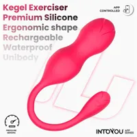 kyra-pelvic-floor-trainer-with-pressure-sensing-and-app-in-665-clin-665.jpg