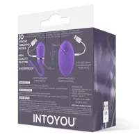 vibrating-egg-with-remote-control-odise-usb-silicone-purple-in-025-clin-025.jpg