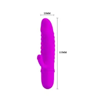 vibe-arnd-purple-bi-014289-clbi-014289.jpg